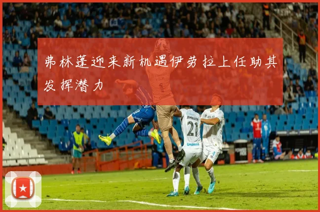 弗林蓬迎来新机遇伊劳拉上任助其发挥潜力