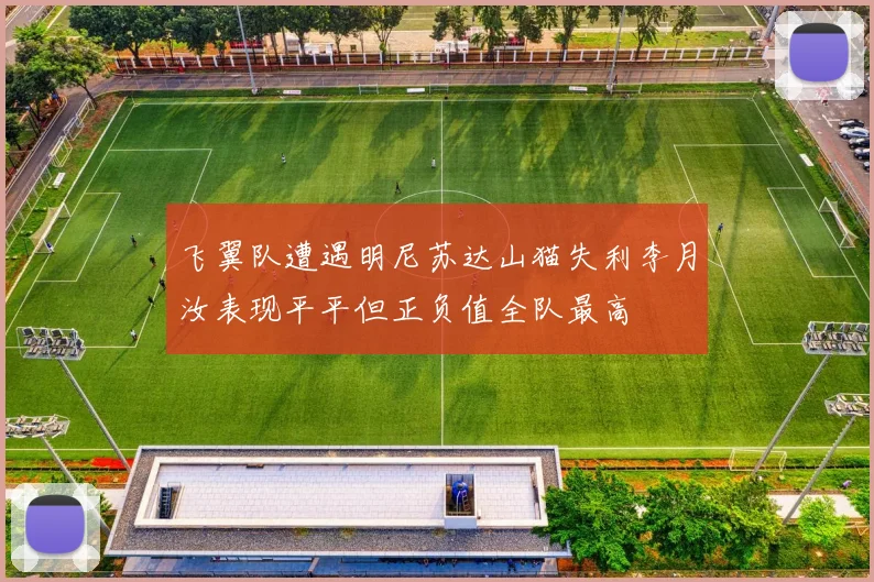 飞翼队遭遇明尼苏达山猫失利李月汝表现平平但正负值全队最高