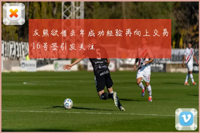 灰熊欲借去年成功经验再向上交易16号签引发关注