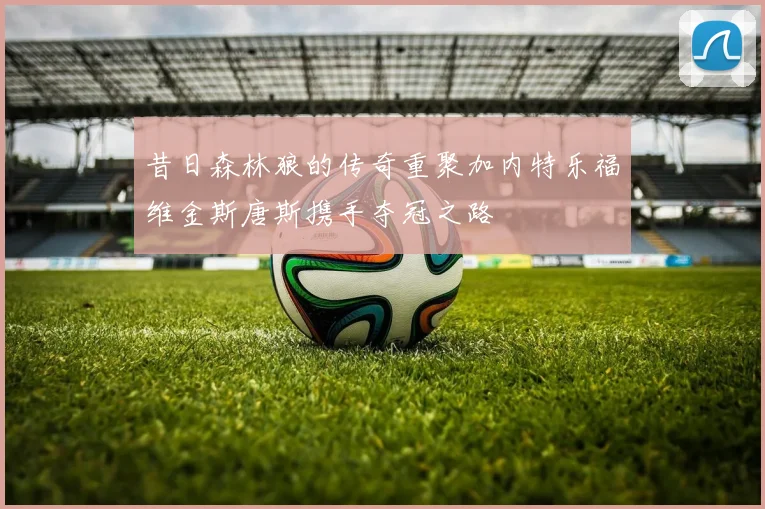 昔日森林狼的传奇重聚加内特乐福维金斯唐斯携手夺冠之路
