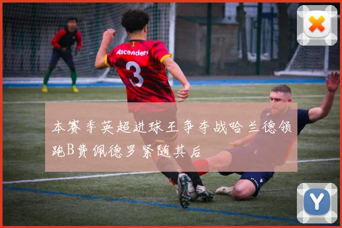 本赛季英超进球王争夺战哈兰德领跑B费佩德罗紧随其后